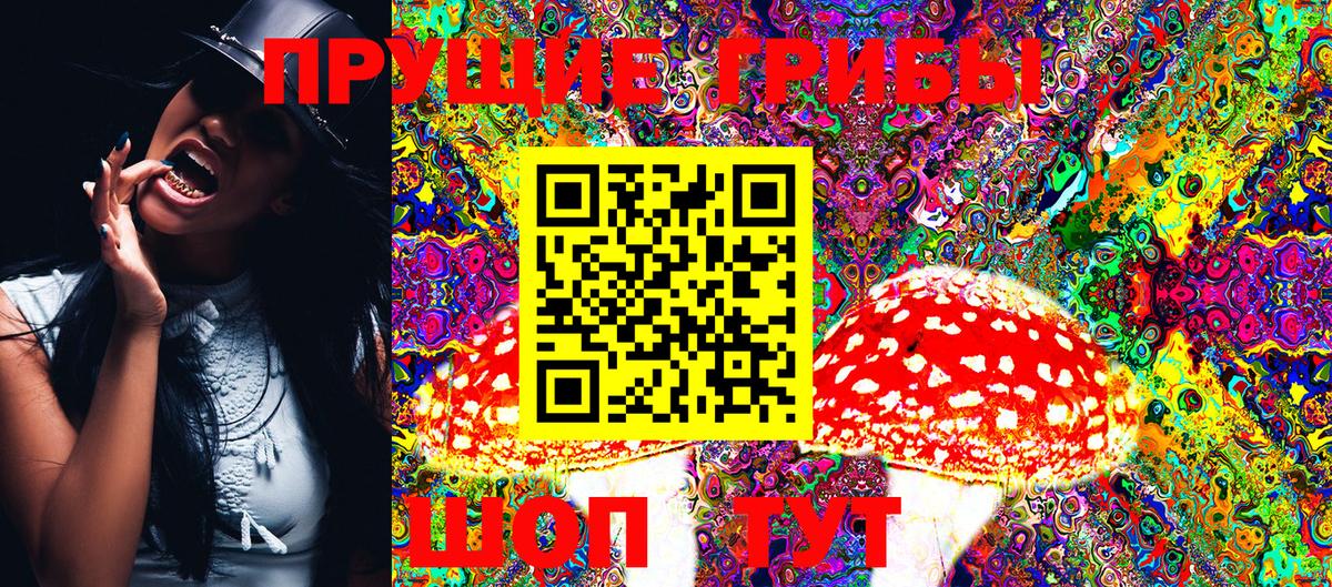 Галлюциногенные грибы Psilocybe  закладка  Сегежа  Галлюциногенные грибы MAGIC MUSHROOMS  Вход с VPN 
