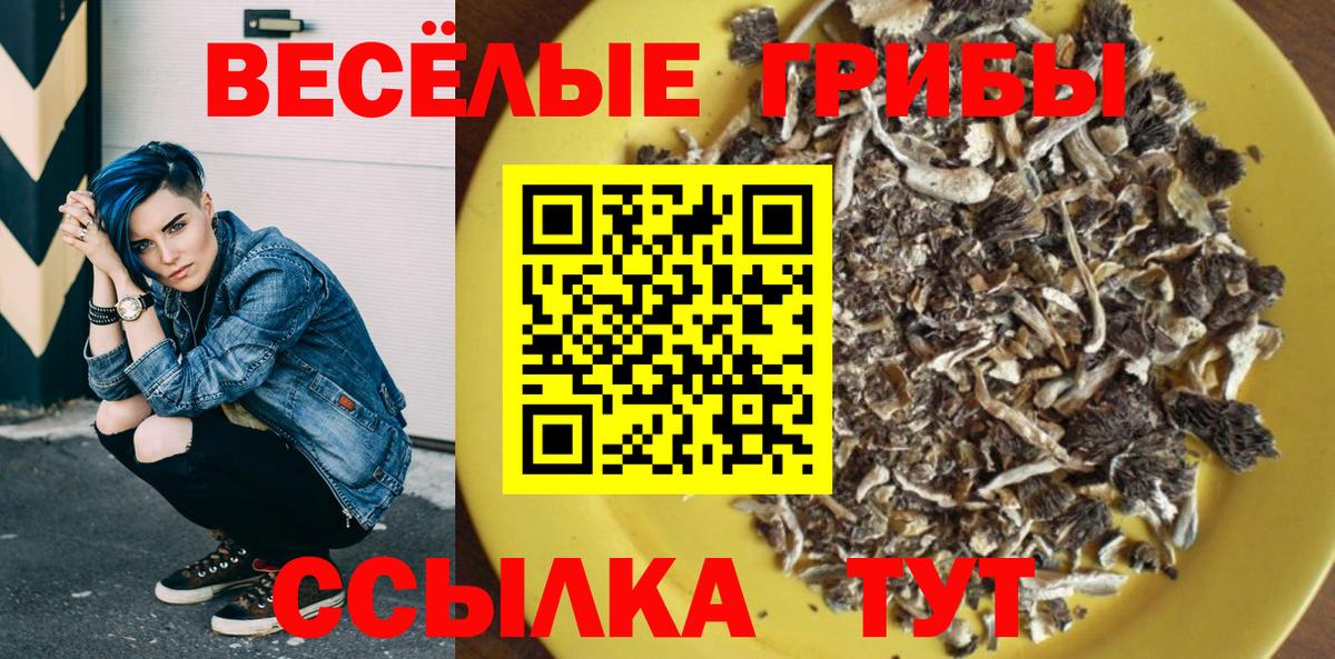 Псилоцибиновые грибы мухоморы Сегежа